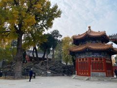 -北京艺术博物馆(万寿寺)