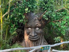 -海南热带野生动植物园