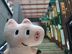 -代数学家algebraist(诚品店)
