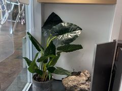 -喜茶(广州番禺奥园广场店)