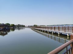 -鹅湖玫瑰文化园