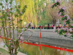 -海棠花溪(元大都城垣遗址公园)