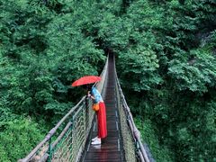 -洛阳白云山景区