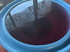 -春晖园度假酒店温泉