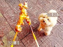 -新疆阿卜杜拉烧烤餐厅(四方坪店)