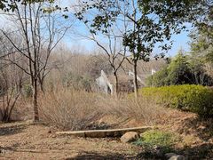 -合肥野生动物园