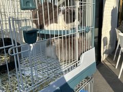 -小意思咖啡店(草桥店)
