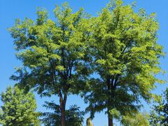 -廊坊文化艺术中心