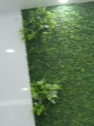 -南京医科大学友谊整形外科医院