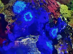 -上海海洋水族馆