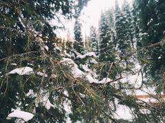-丝绸之路山地度假区滑雪场