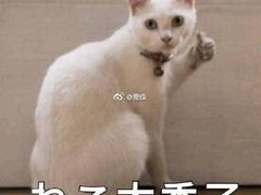 -老韩煸鸡·中国炸鸡(水塔美食街店)