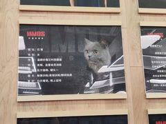 -Vamos巴猫司健身中心(五角场店)