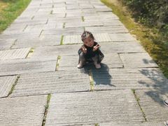 -瑶湖郊野森林公园