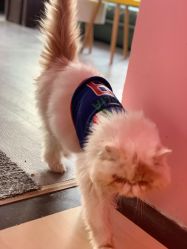 -M2匠心美甲美睫半永久