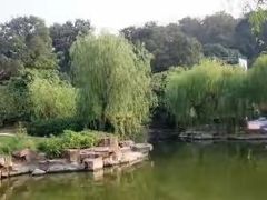 -龙寺生态园