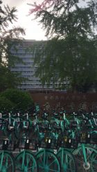 -首都医科大学附属北京儿童医院
