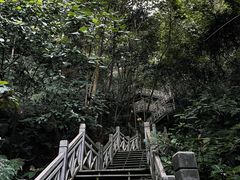 -南宁良凤江国家森林公园