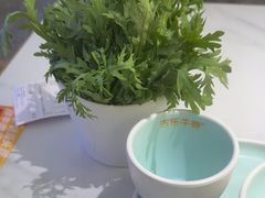 -古乐牛香•鲜牛肉牛杂火锅(系马桩总店)