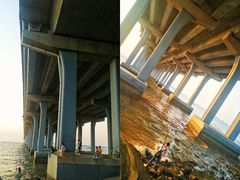 -宝安西湾红树林湿地公园