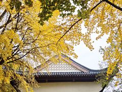 -郑和公园