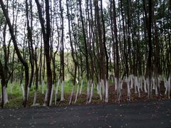 -艾溪湖湿地公园