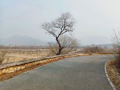 -唐指山风景区