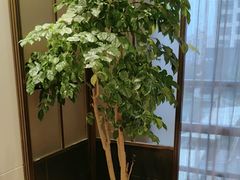 -泓历皇朝酒店(东亭店)