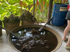 -大象粑粑造纸公园