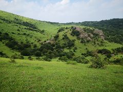 -大姆山草场