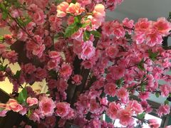 -蓬莱欧乐堡梦幻世界