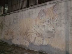 -槟城街头艺术街区