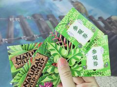 -上海大自然野生昆虫馆(东方明珠·爬宠昆虫探索中心)