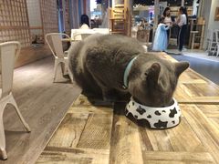 -小时光咖啡馆(开森度假森林店)
