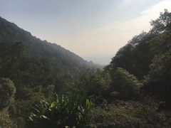 -韬光茶庵