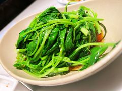 -MR鹅外