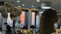 -TOP HAIR SALON