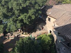 -东莞市可园博物馆