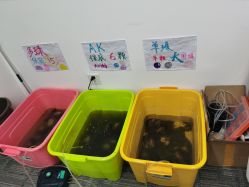 -邵老师打金·黄金加工(大望路总店)