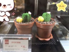 多肉杯蛋糕-85度C(青岛燕儿岛店)