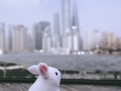-三利音·东方司宴(外滩店)