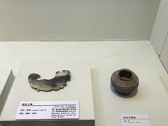 -安阳博物馆