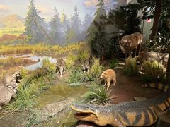 -陕西自然博物馆