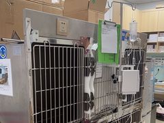 -宠福鑫康馨动物医院·骨科·眼科
