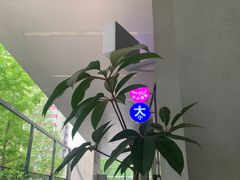 -大小咖啡 BigSmallCoffee(麦子店)