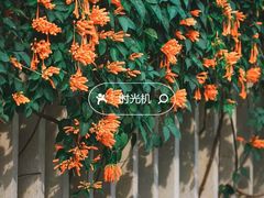 -晓港公园