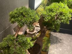 -耿福兴(罍街店)