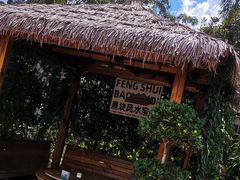 -茗情傣味