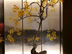 -京华烟云·北京烤鸭(领展购物广场·中关村店)