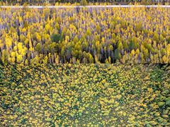 -北极村旅游风景区